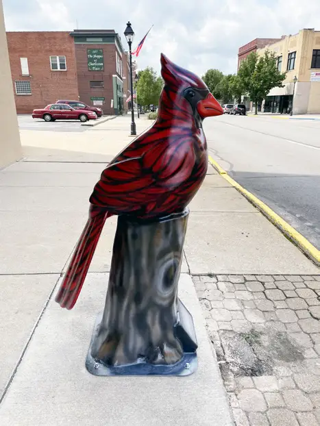 My Feathered Friend Cardinal located at the OhioHealth building in Marion, Ohio