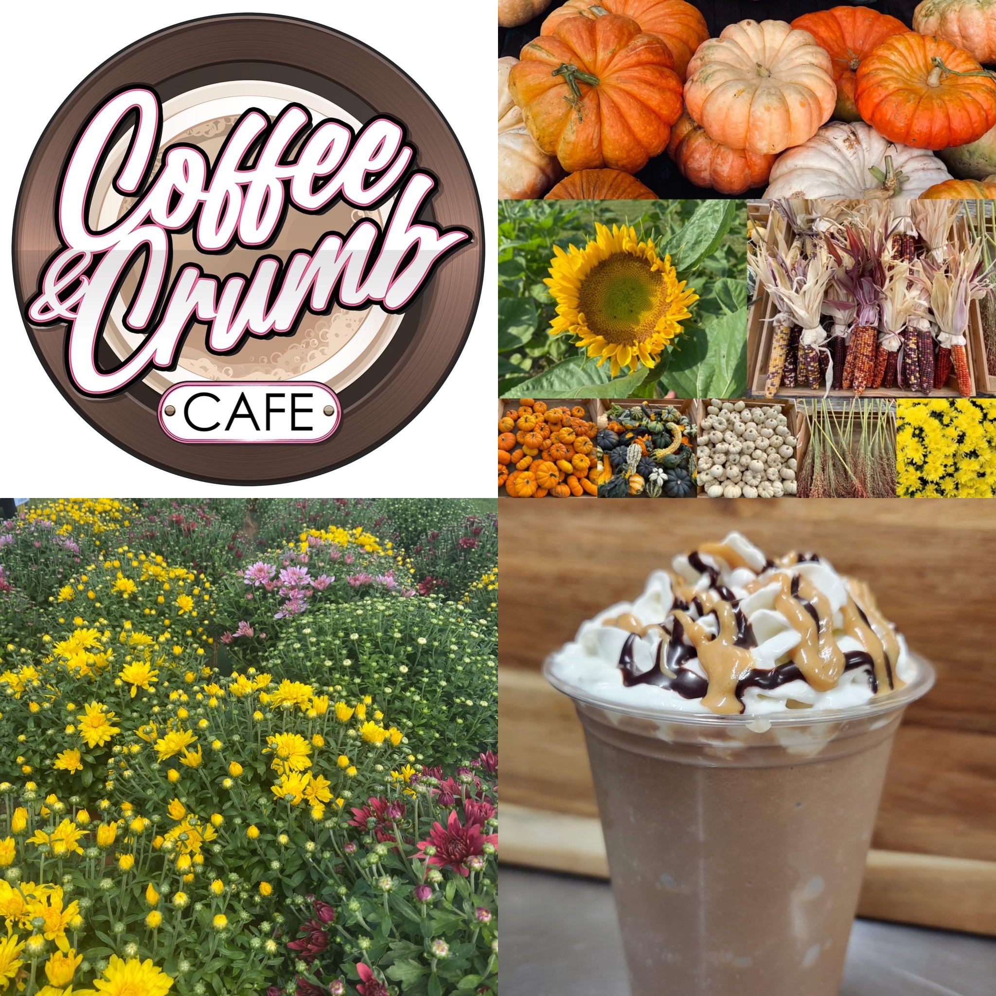 Fall decor, mums, pumpkins, and coffee drink from Coffee & Crumb Cafe