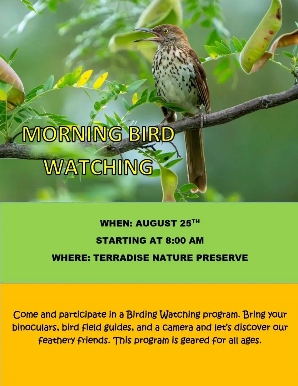 Morning Bird Watching at Terradise Nature Preserve