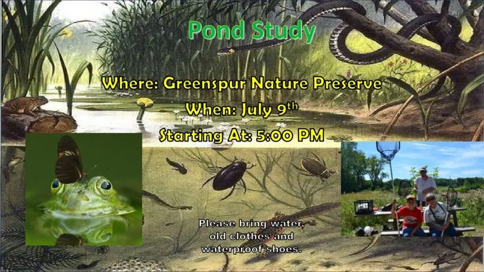 Pond Study at Greenspur Nature Preserve