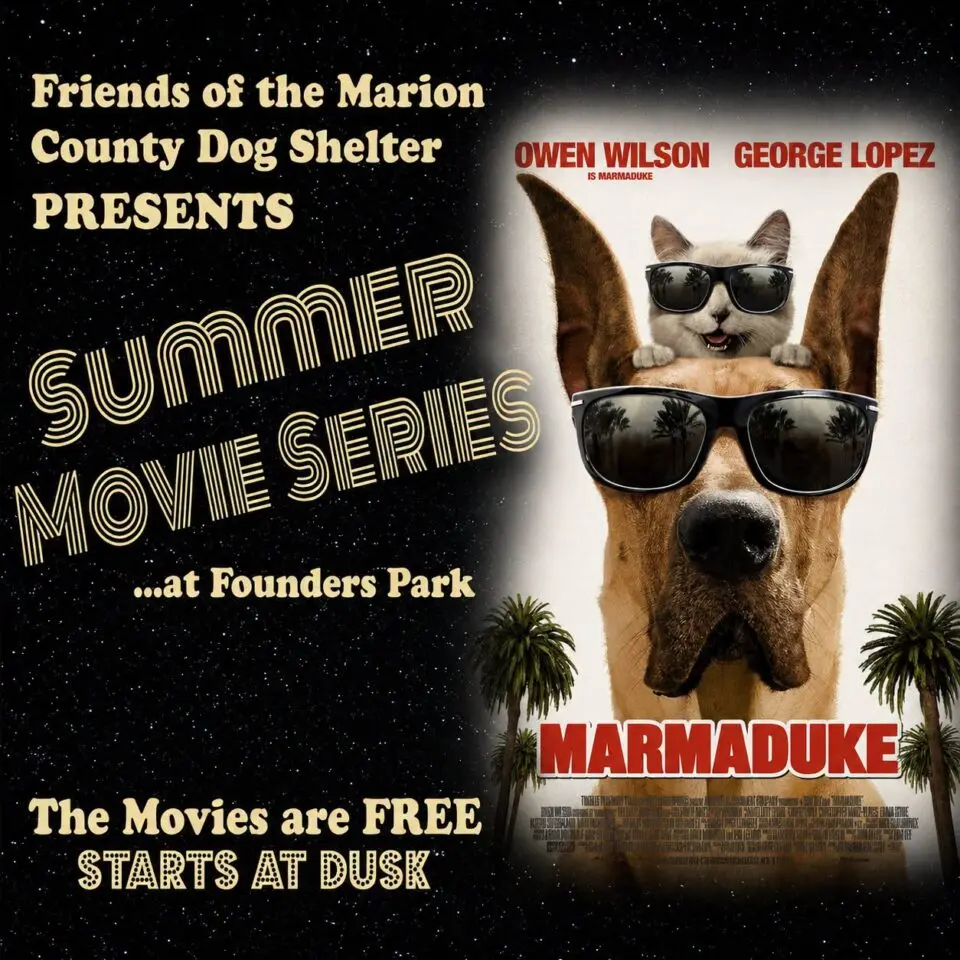 Summer Movie Series at Founders Park