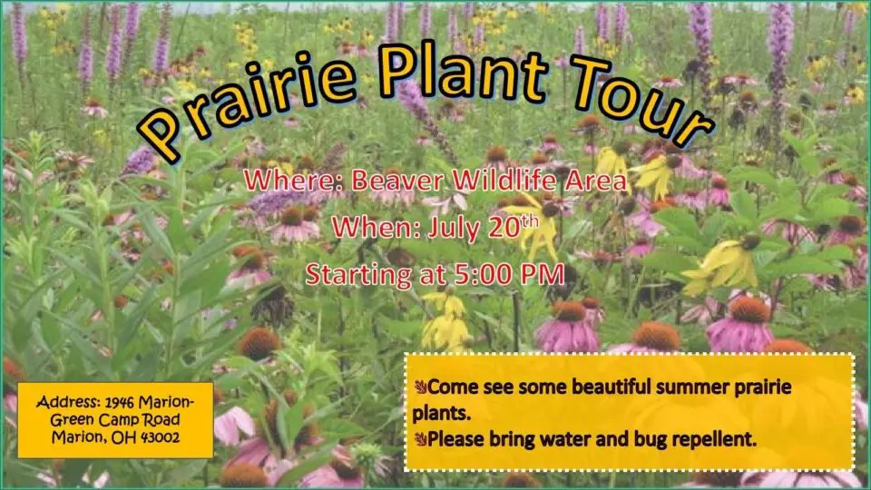 Prairie Plant Tour at Beaver Wildlife Area