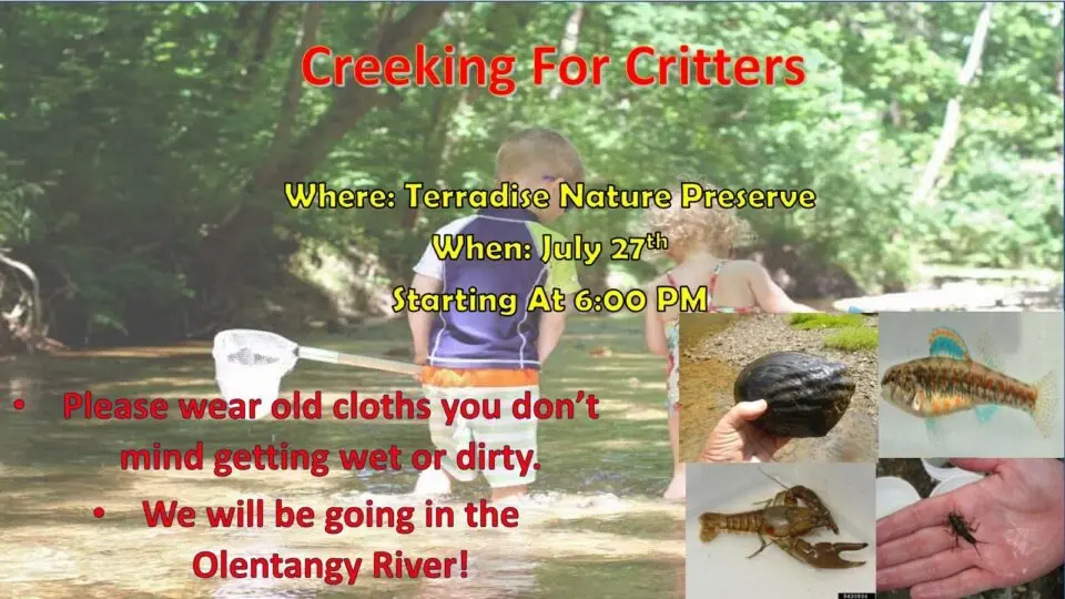 Creeking for Critters at the Terradise Nature Preserve