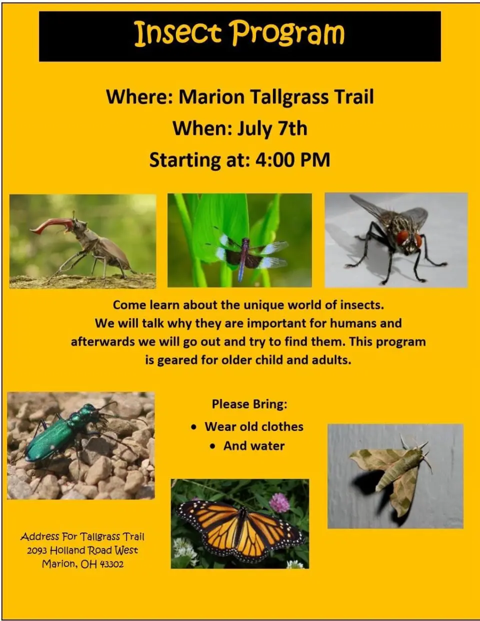 Insect Program at Marion Tallgrass Trail