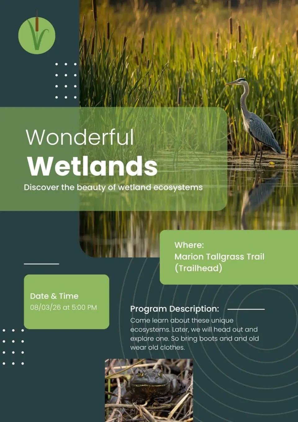 Wonderful Wetlands Program at Marion Tallgrass Trail