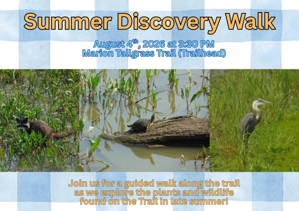 Summer Discovery Walk at Marion Tallgrass Trail