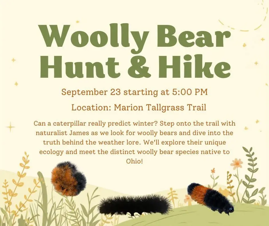 Woolly Bear Hunt & Hike at the Marion Tallgrass Trail