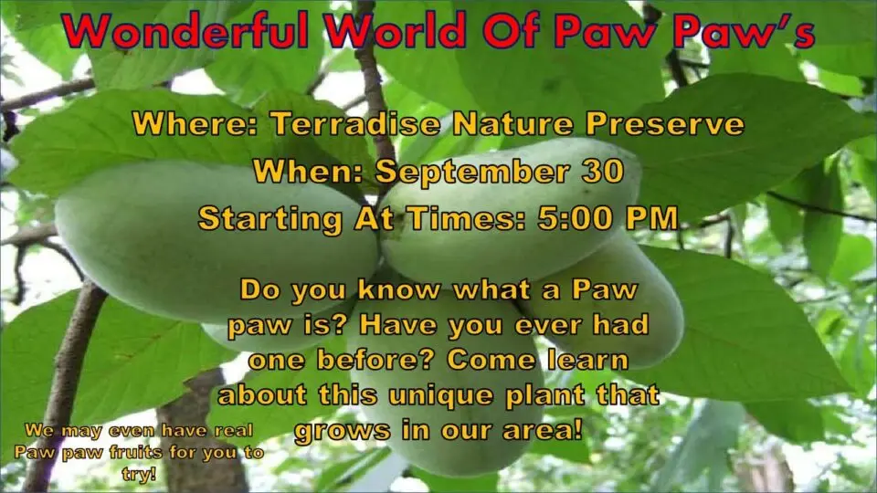 Wonderful World of Paw Paws at Terradise Nature Preserve