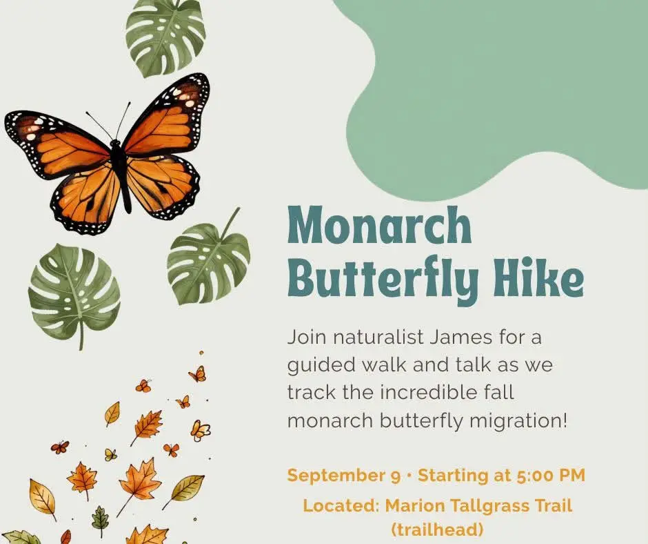 Monarch Butterfly Hike at the Marion Tallgrass Trail