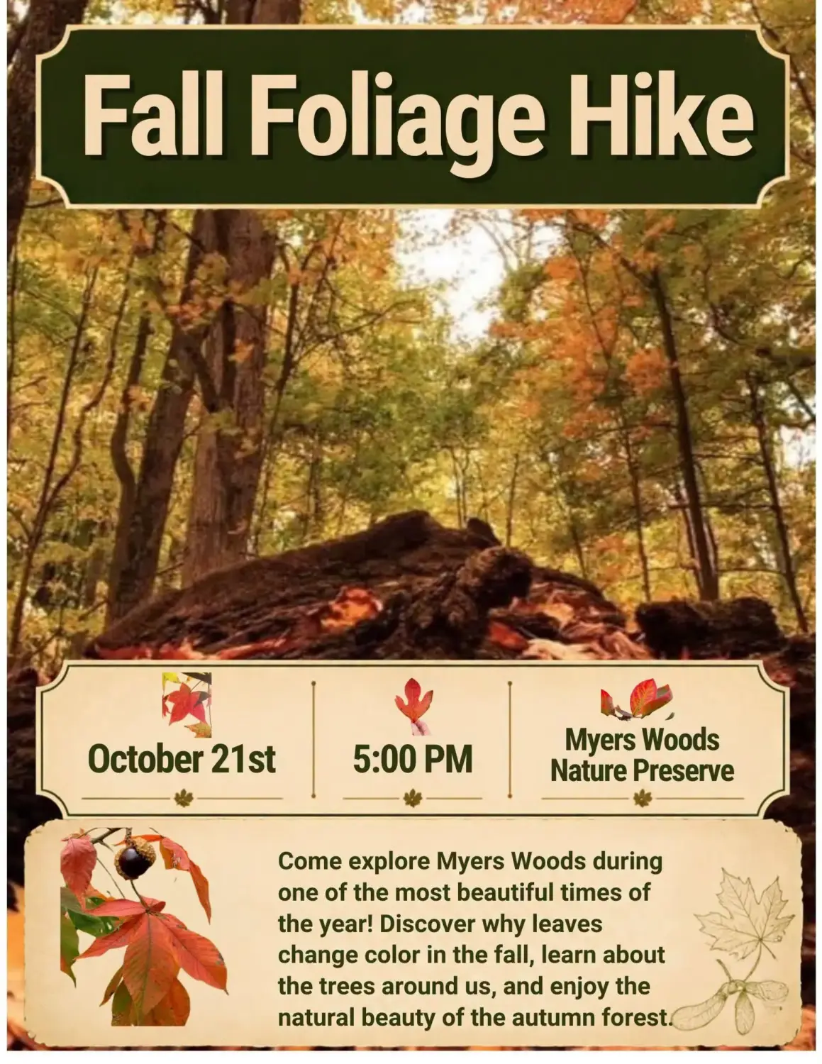 Fall Foliage Hike at the Myers Woods Nature Preserve