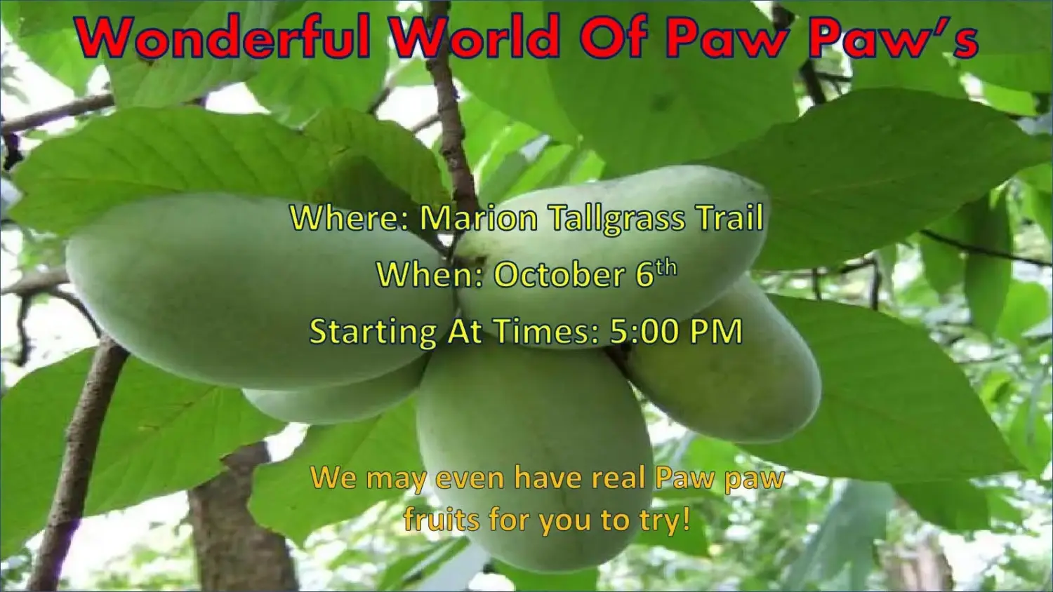 Paw Paw Program at Marion Tallgrass Trail