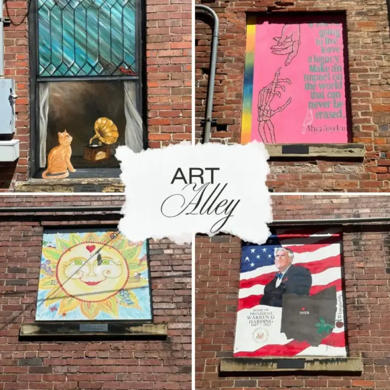 art alley collage containing 4 paintings a cat in a window, hands extended up and down, a sunshine face, and a flag with President Harding and the shape of the State of Ohio