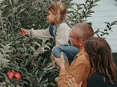 Couple lifting a little girl up to pick an apple at Lawrence Orchard.