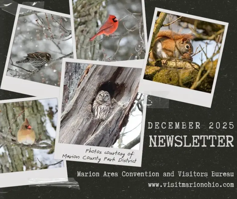 macvb dec 2025 newsletter