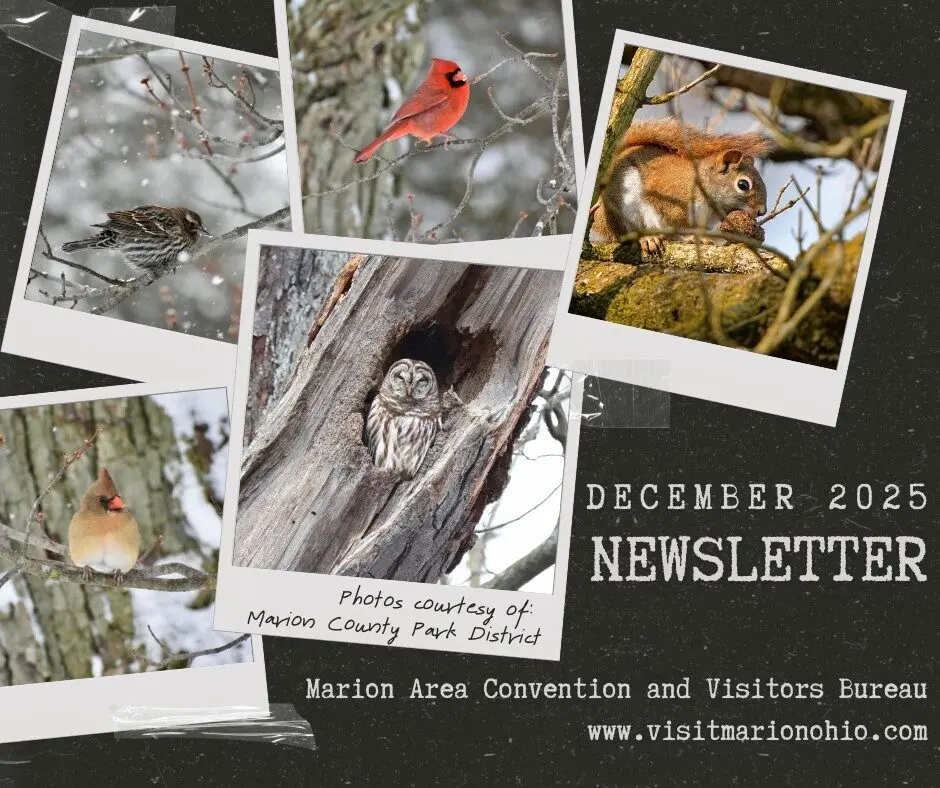 macvb dec 2025 newsletter
