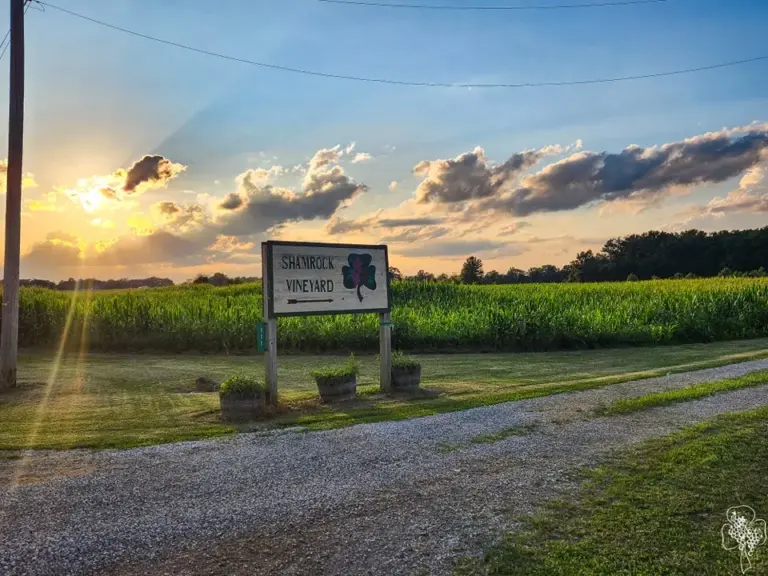 sunset and sign