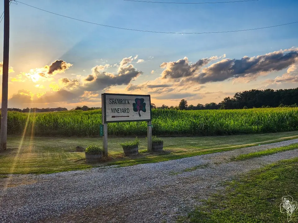 sunset and sign
