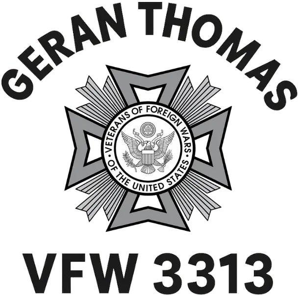 VFW 3313 logo