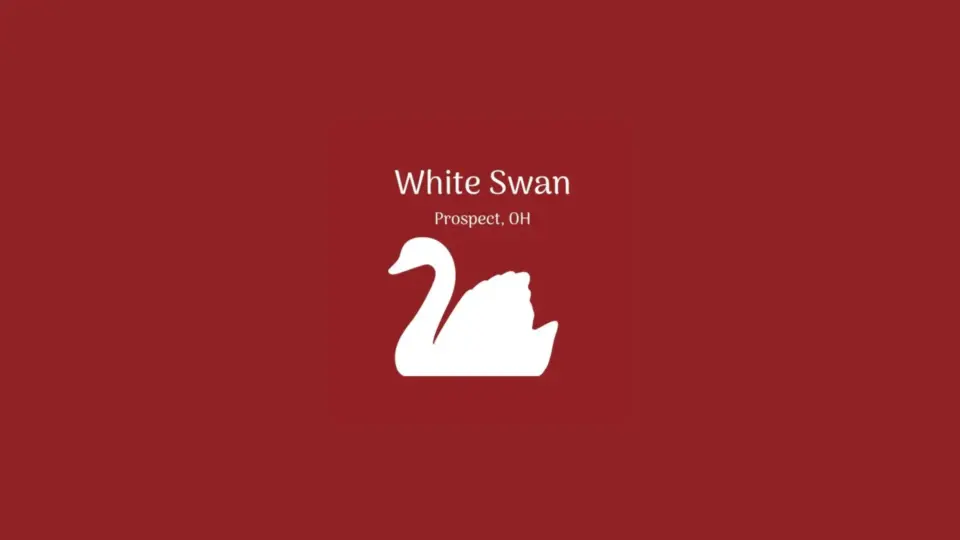white swan
